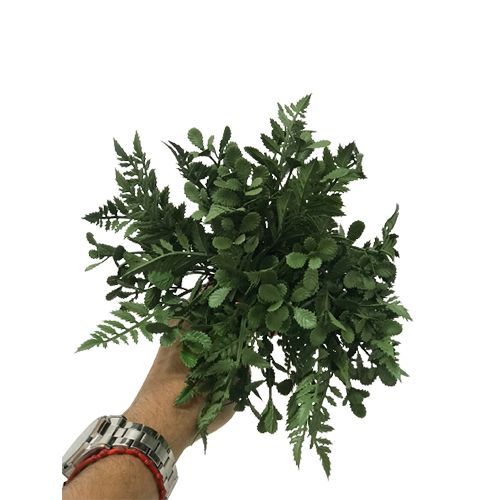 PICK DE SAMAMBAIA 25CM PREMIUM