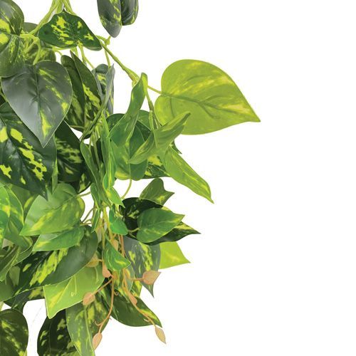 PENDENTE FOLHAGEM JIBOIA SILICONE 64CM