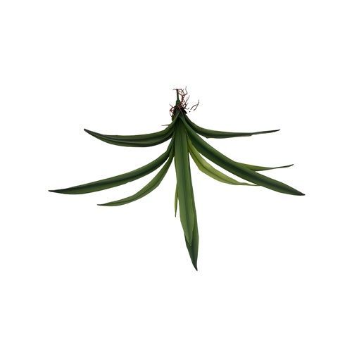 FOLHA DE ORQUIDEA FINA SILICONE 55CM