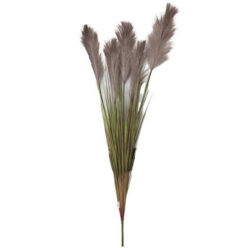 HASTE CAPIM DOS PAMPAS OUTONAL 1.3M