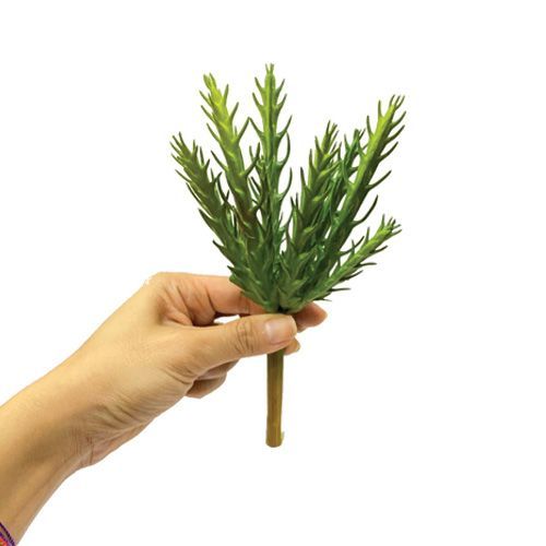 CACTO SUCULENTA ESPINHOSO 19CM