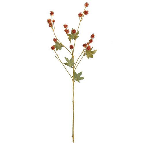 HASTE GYPSOPHILA PREMIUM 67CM