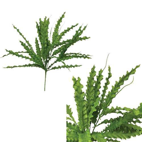 BUQUE ASPLENIO X5 39CM