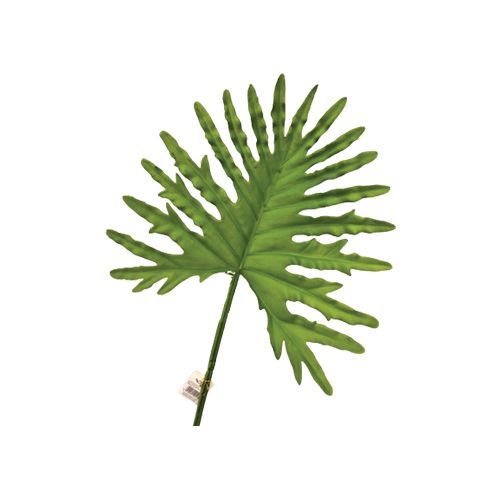 FOLHA FILODENDRO 70CM