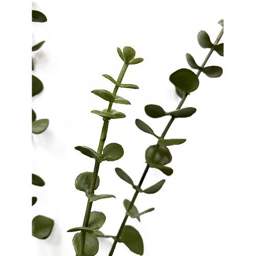 HASTE EUCALIPTO TOQUE REAL PREMIUM 57CM