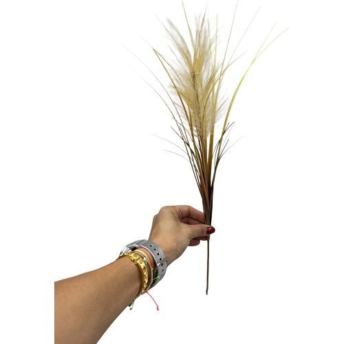 MINI CAPIM PAMPA 45CM