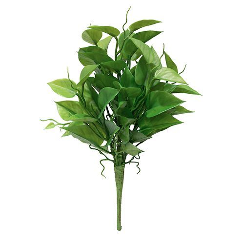 BUQUE JIBOIA PREMIUM 35CM (TOQUE REAL)