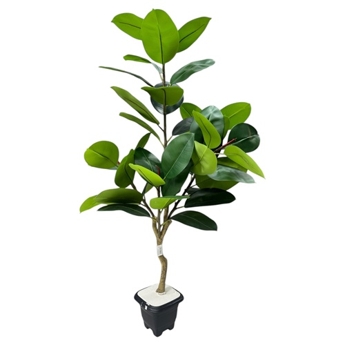 ARVORE PLANTA FICUS ELASTICA 130CM