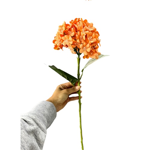 HASTE DE HORTENCIA 60CM