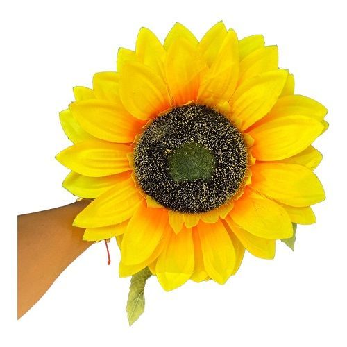 HASTE DE GIRASSOL 1.20M