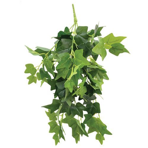 PENDENTE FOLHAGEM DE HERA 62CM