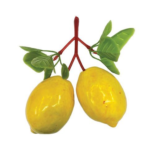 CACHO DE MINI LIMAO SICILIANO