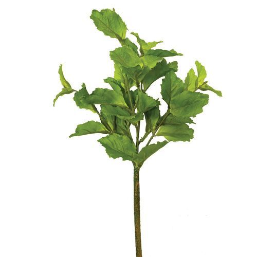 HASTE DE FOLHAGEM SALVIA PREMIUM 55CM