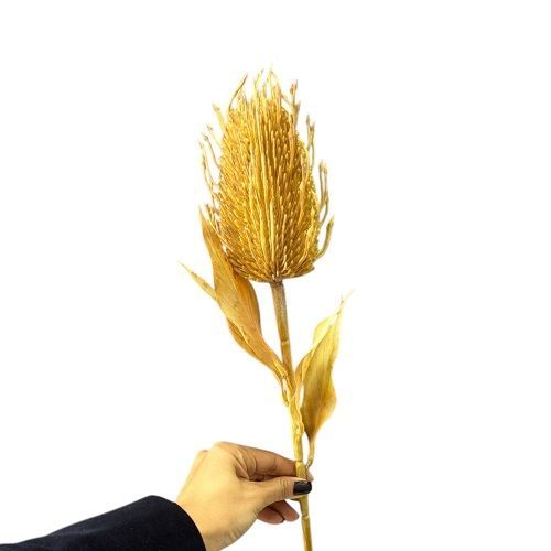 HASTE DE PROTEA ENVELHECIDA 80CM