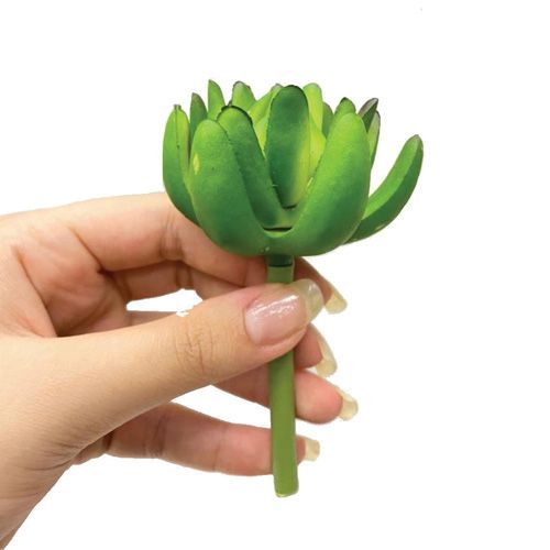 SUCULENTA 10CM