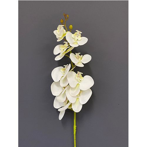 ORQUIDEA 3D X9 1M