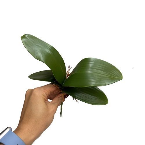 FOLHA DE ORQUIDEA 20CM