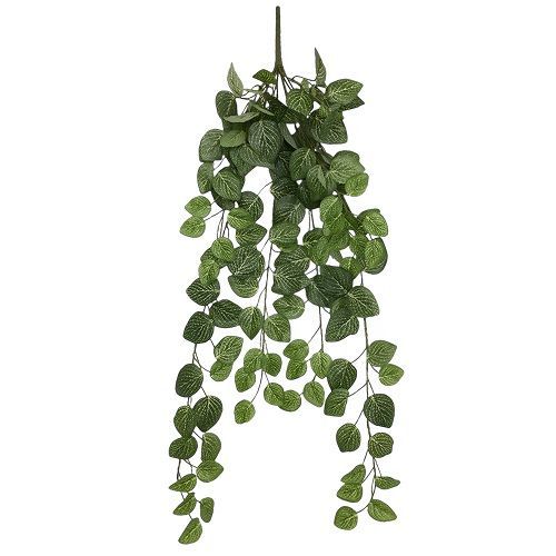 PENDENTE FOLHAGEM FITÔNIA 75CM