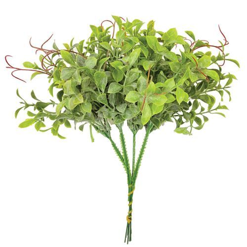 PICK DE MINI FICUS 21CM X6