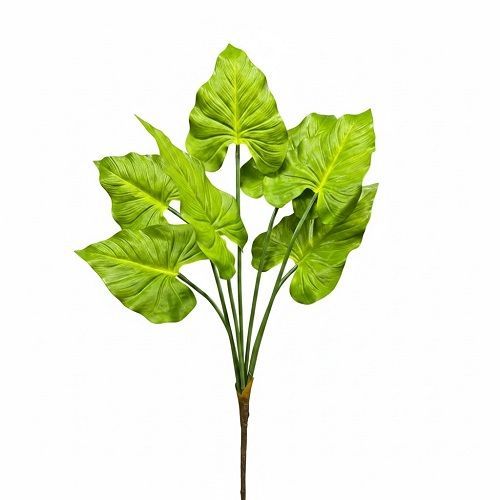 FILODENDRO 70CM VERDE