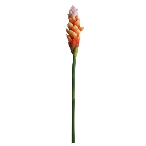HASTE ALPINO TROPICAL LARANJA TOQUE REAL LARANJA