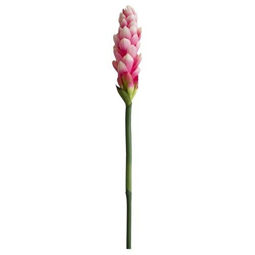 HASTE ALPINO TROPICAL ROSA CLARO TOQUE REAL ROSA BEBE