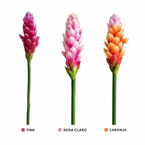 HASTE DE ALPINO TROPICAL TOQUE REAL