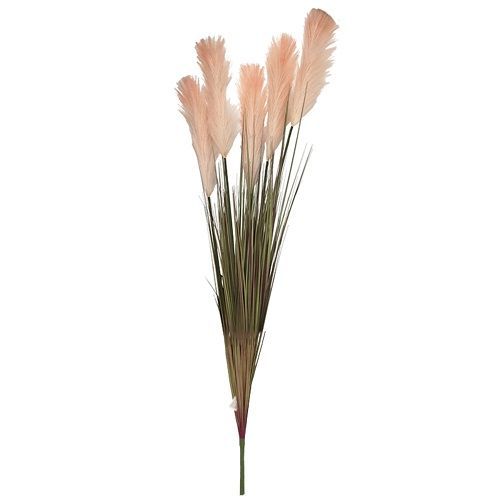 HASTE CAPIM DOS PAMPAS OUTONAL 1.3M