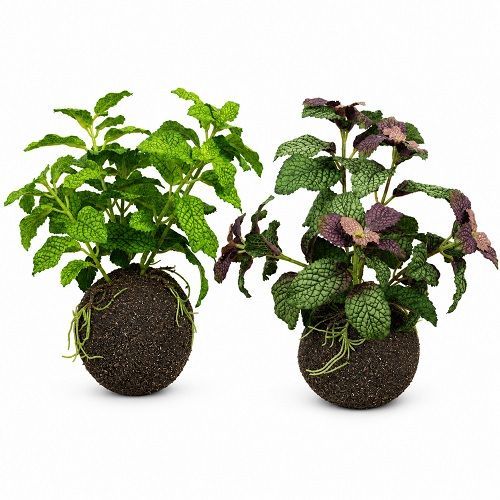 KOKEDAMA HORTELA 2 CORES 20CM