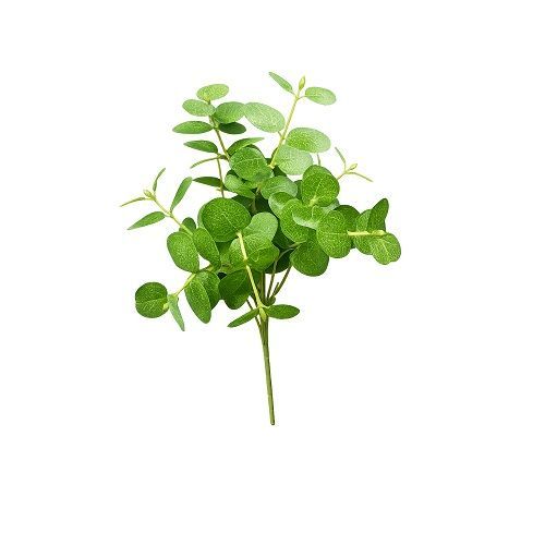 BUQUE MINI EUCALIPTO 37CM 5 GALHOS