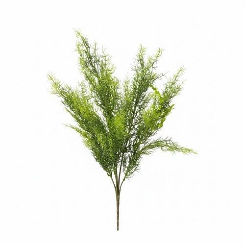 BUQUE DE FOLHAGEM TIPO ASPARGO 57CM