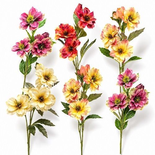 GALHO DE ROSA HELEBORUS X3 64CM