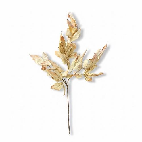 FOLHAGEM TOQUE DESIDRATADO 66CM CREME