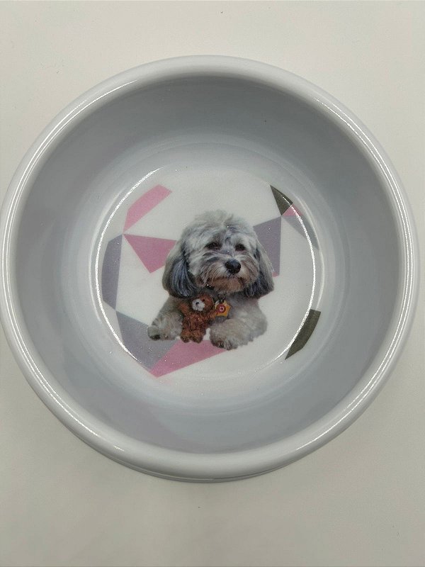 Comedouro/Bebedouro para Pet Cão ou Gato | Plástico Estampado - Shitzu