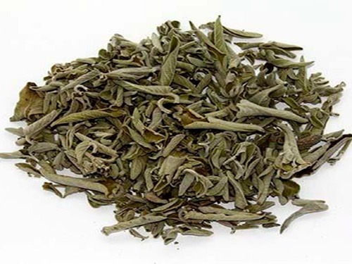 Sálvia (Salvia officinalis) – 50g