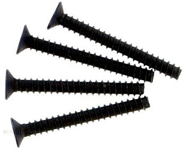 Parafuso Cabeça Chata TPE3x25 Himoto 02090 (4 un)