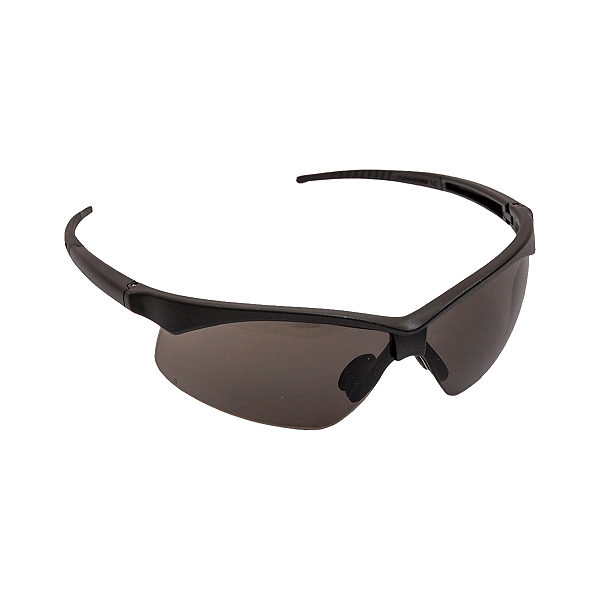 Óculos De Segurança Carbografite Evolution Cor Cinza - CA18697