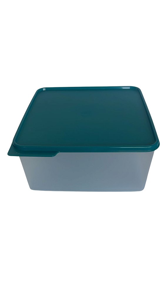 Basic Line Transparente/Tampa Mistério Verde Musgo - 5 Litros