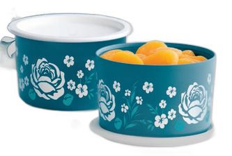 Tupperware Instantanea 575ml - Flotal Turmalina