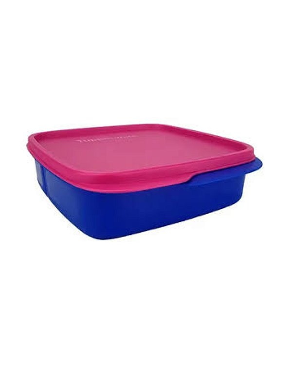 Tupperware Basic Line Com Divisão 550ml - Azul Tampa PInk