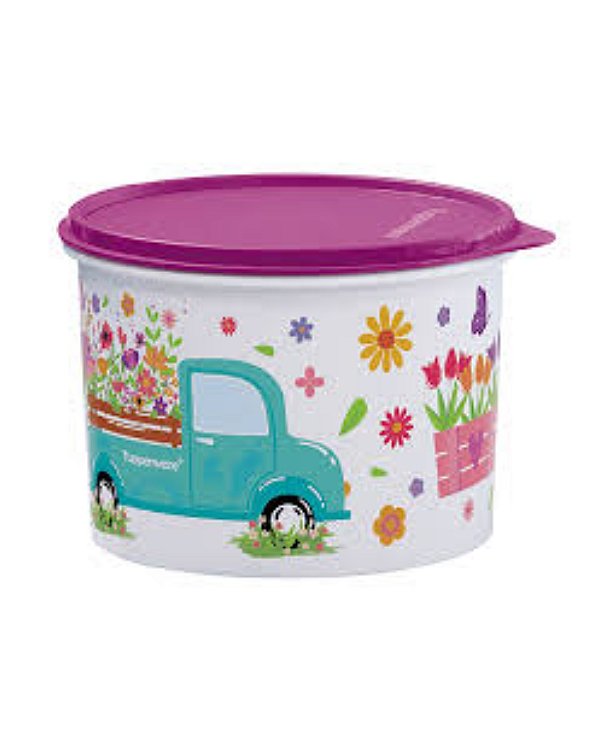 Tupperware Tupper Caixa 1,1 Litros - Caminho Das Flores Tampa Roxo
