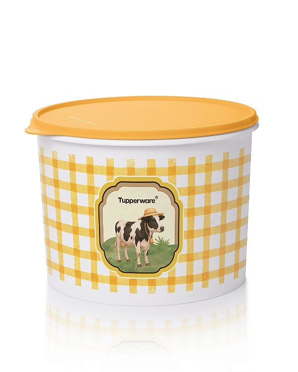 Tupperware Tupper Caixa 5,5 Litros -Vaquinha da Roça