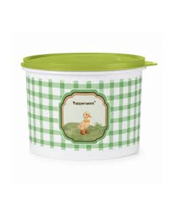 Tupperware Tupper Caixa 2,4 Litros - Patinho da Roça