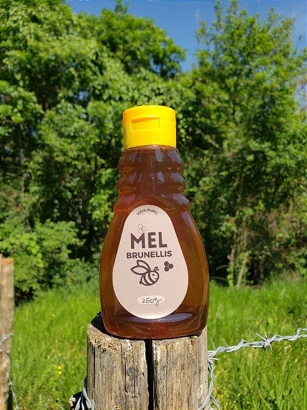 Mel Bisnaga 260g - SILVESTRE