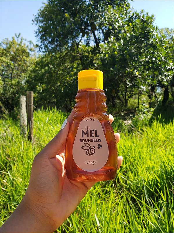 Mel Bisnaga 260g - LARANJEIRA