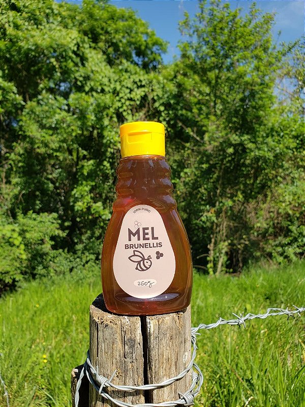 Mel Bisnaga 260g - EUCALIPTO