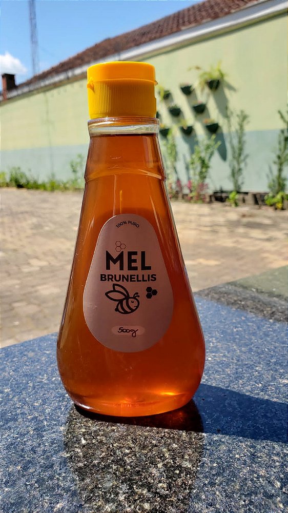 Mel Bisnaga 500g - SILVESTRE