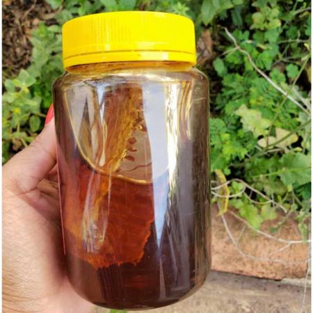 Mel COM FAVO 500g - LARANJEIRA