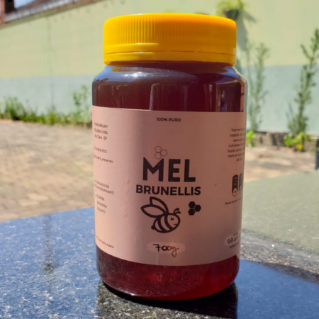 Mel Pote 700g - EUCALIPTO