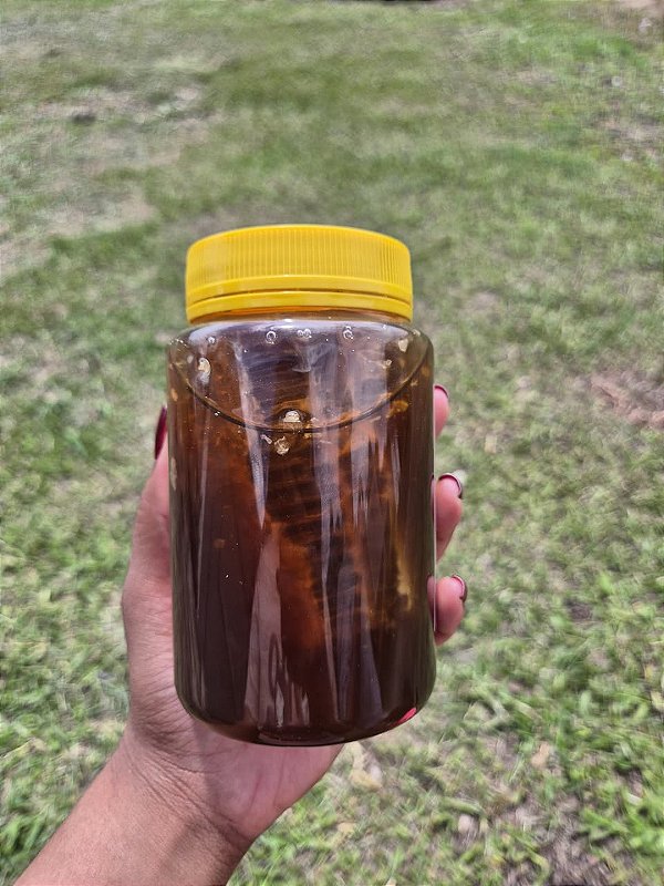 Mel COM FAVO 700g - SILVESTRE